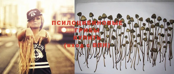 герыч Ростов