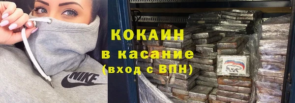 стаф Россошь