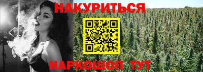 a pvp Будённовск