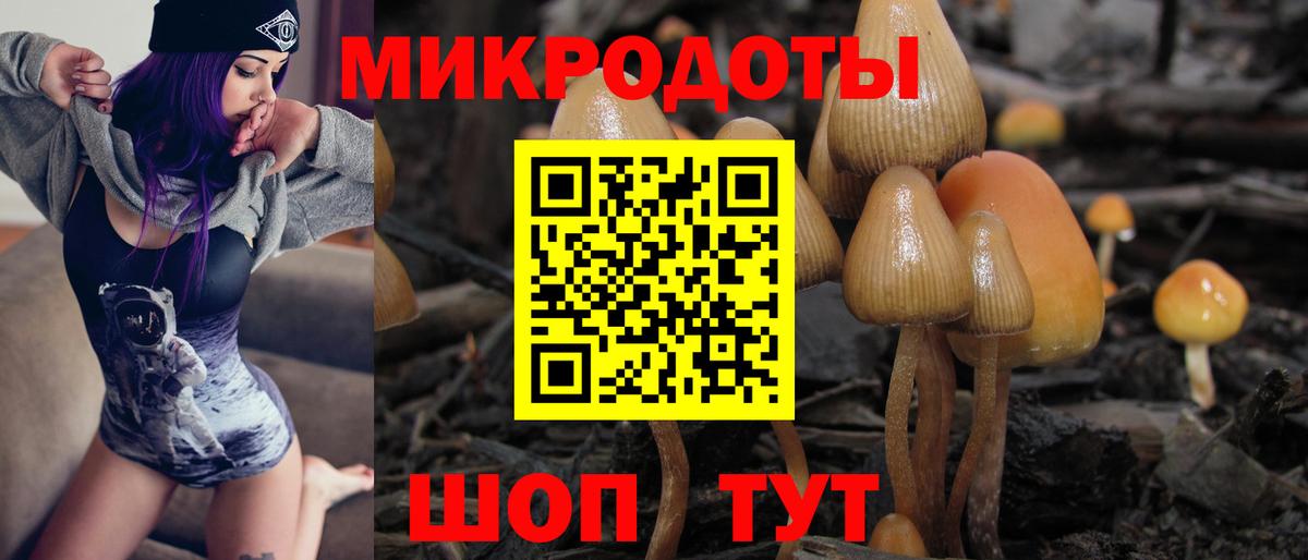 Кыштым  Галлюциногенные грибы GOLDEN TEACHER  Вход с VPN 